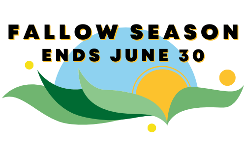 Over a white background, bold black text with a yellow outline says “Fallow Season Ends June 30.” Under this text is an illustration of a yellow-orange sun rising from green fields under a light blue sky. Three yellow dots surround the illustration.
