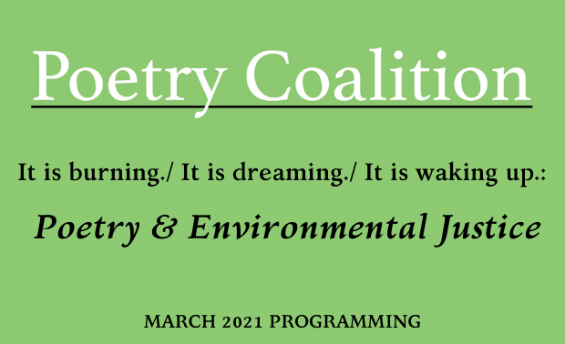 Light green rectangle with Poetry Coalition logo and text that says 